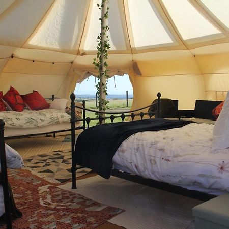 Tal-Y-Fan Farm 6M Stargazer Tent Bridgend  Buitenkant foto